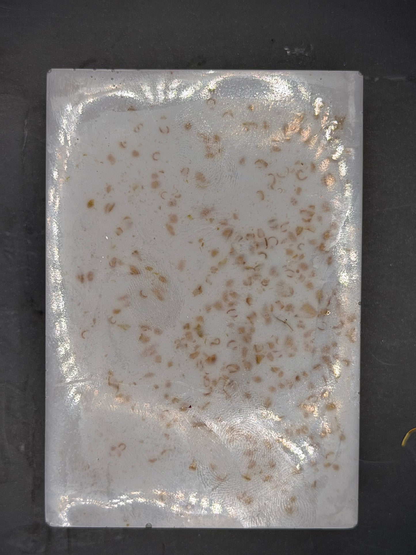 Moon Mood Soap Bar – Clary Sage, Rose Geranium & Frankincense | Intuition + Emotional Balance Cleanser